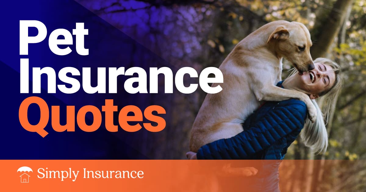 Get Free Pet Insurance Quotes For Your Dogs & Cats (In March 2023 )